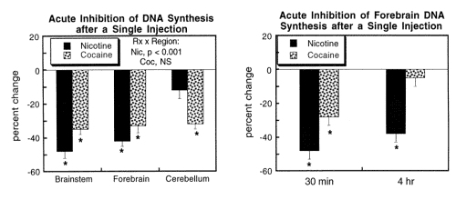 Prenatal exposure nicotine v. cocaine